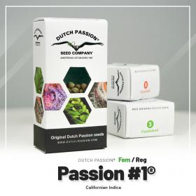 Passion 1® 1 seed- Fem